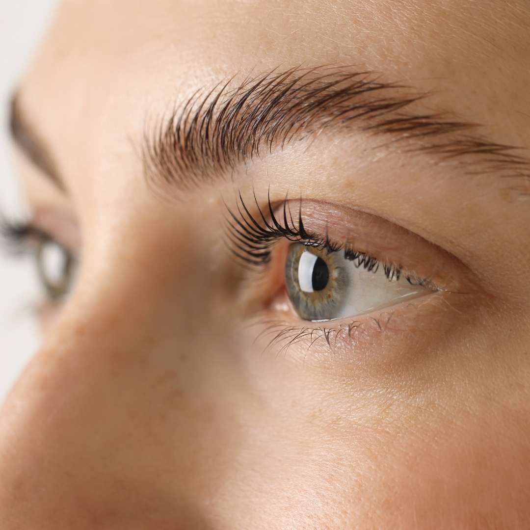 Lash Lifting - Neukunden